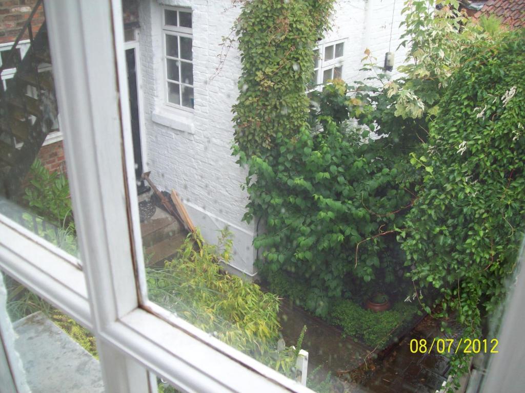 Minster Garth Guest House Beverley Rum bild